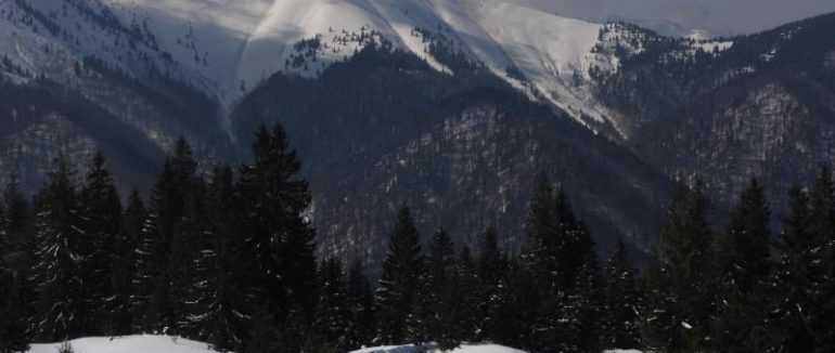 Неймовірна краса: на Міжгірщині зафіксували сходження лавини