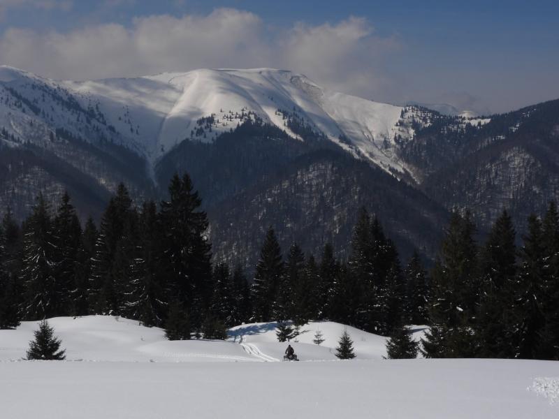 Неймовірна краса: на Міжгірщині зафіксували сходження лавини