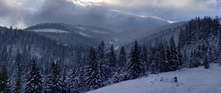 На Закарпатті оголошено сніголавинну небезпеку