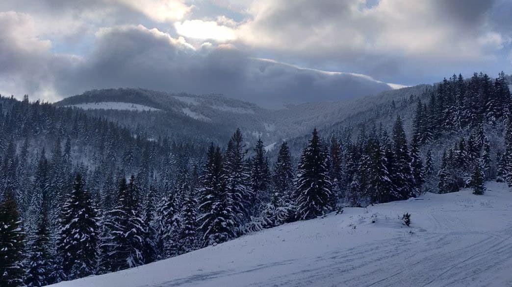 На Закарпатті оголошено сніголавинну небезпеку