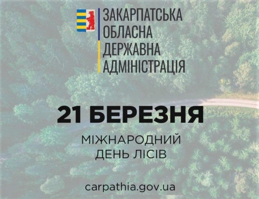 Міжнародний день лісів: Закарпаття перше в Україні за лісистістю та запасами деревини