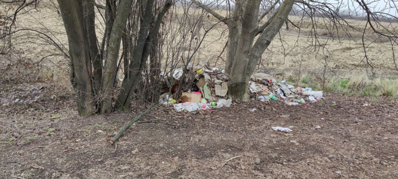 Оштрафований за сміття на зеленій території: в Мукачеві муніципальна поліція покарала чоловіка