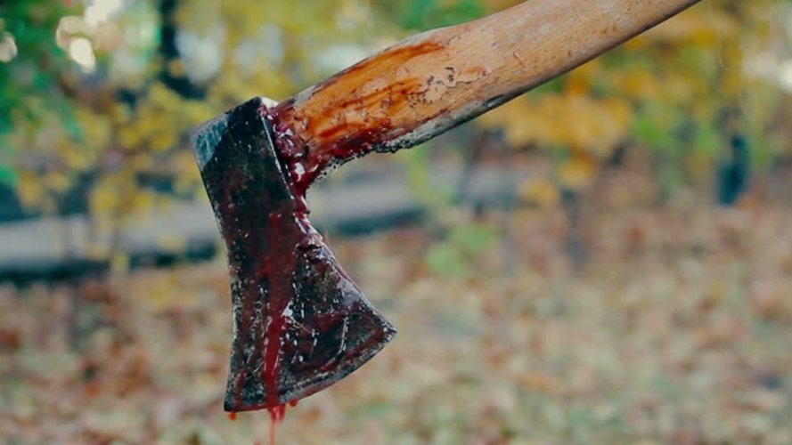 Неповнолітній зарубав листоношу: на Рівненщині 17-річний хлопець жорстоко вбив жінку