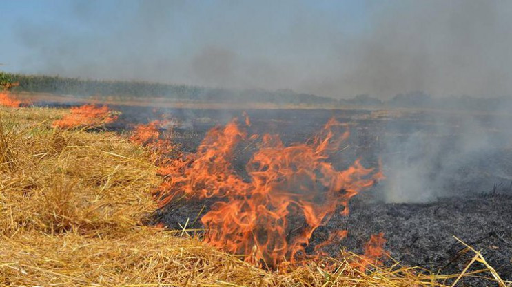 Чергова пожежа поблизу Ужгорода: згорів 1 гектар відкритої території