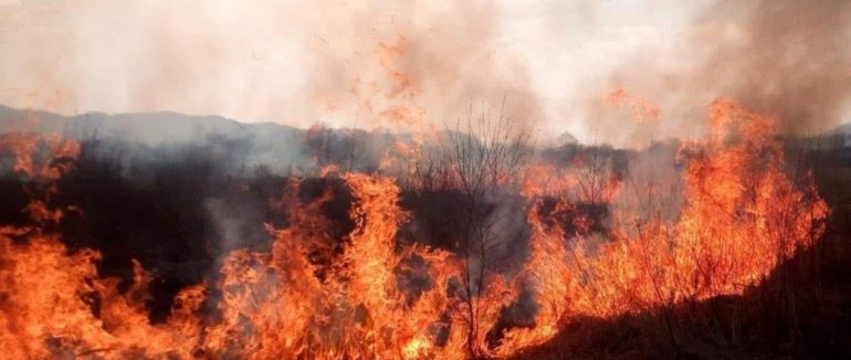 Вчора ввечері на Закарпатті вирувала масштабна пожежа