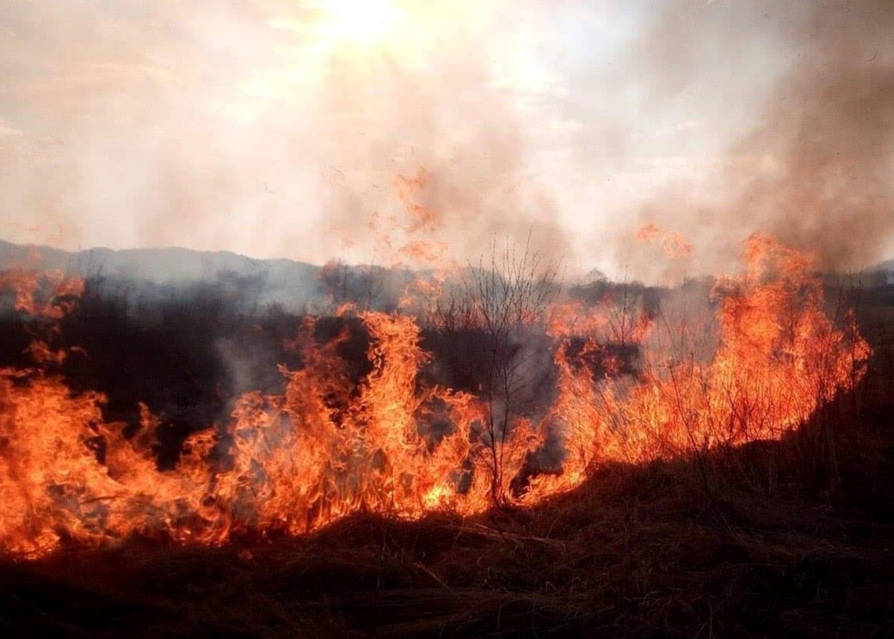 Вчора ввечері на Закарпатті вирувала масштабна пожежа