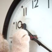 Верховна Рада відмовилась скасувати переведення  літнього часу