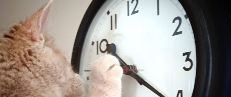 Верховна Рада відмовилась скасувати переведення  літнього часу