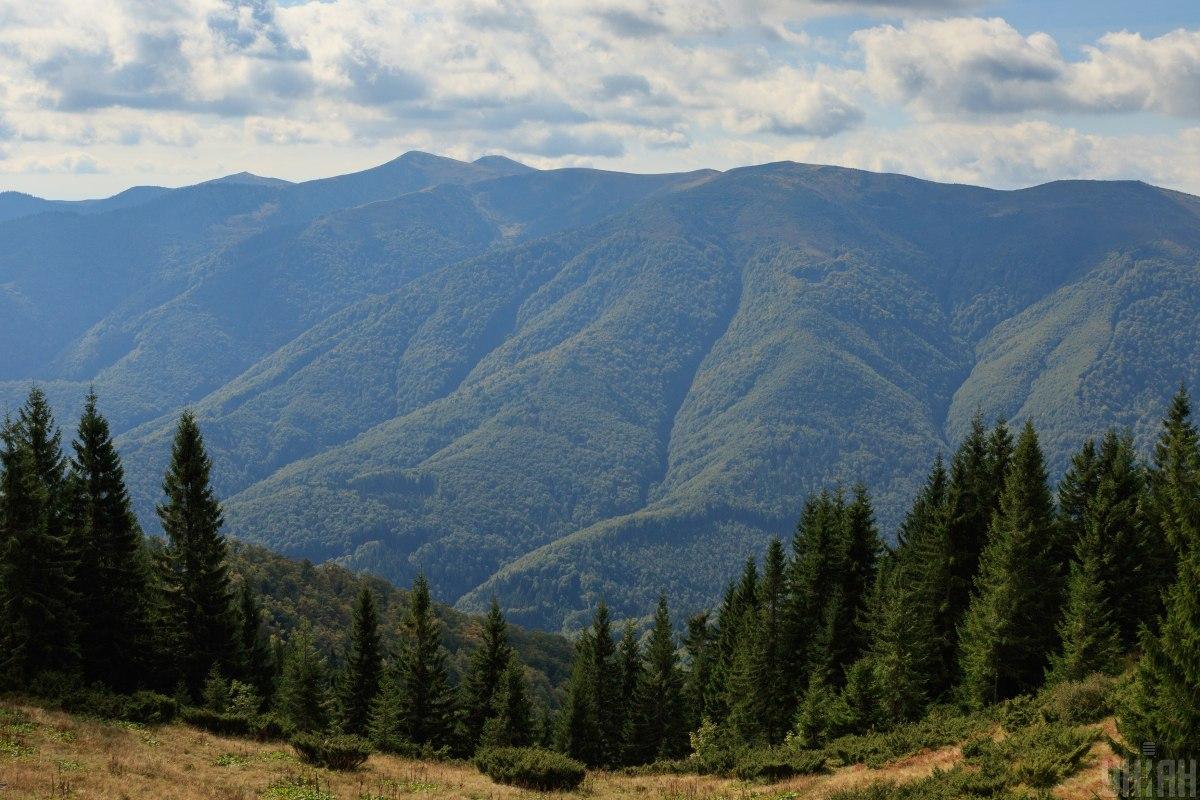 Закарпатська облрада не надала 5038,3 га лісів статусу пралісових пам`яток природи