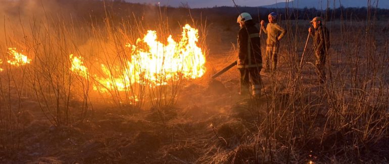 Долина нарцисів у вогні: на Закарпатті горів природний заповідник