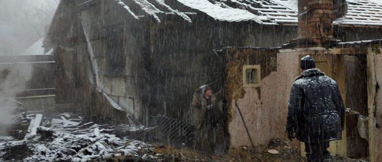 На Тячівщині пожежою знищено чимало свійських тварин