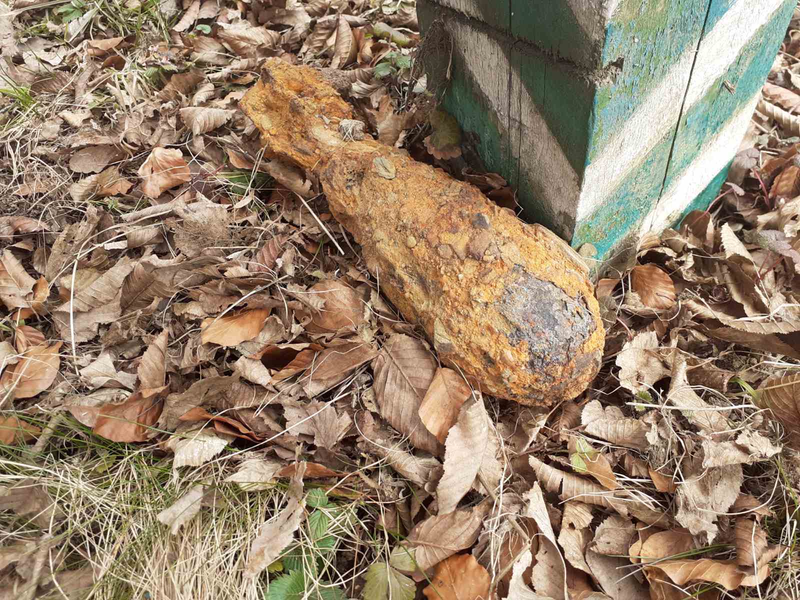 Міни часів Другої світової війни: на Закарпатті піротехніки знешкодили