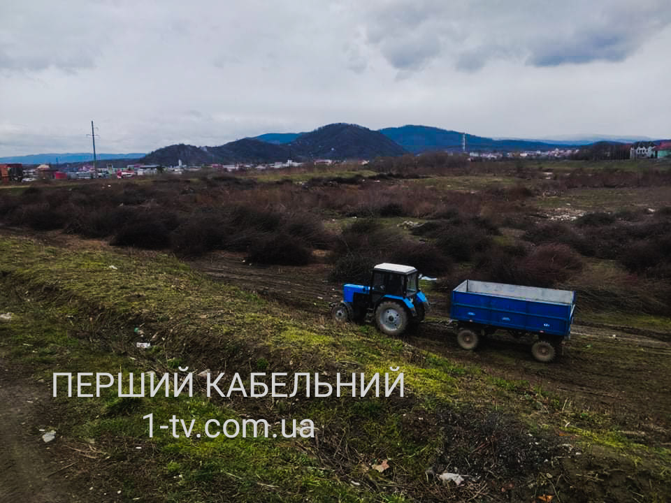 Закарпаття, Мукачево, Мукачівська ТГ, розчистка, придорожні смуги, набережна