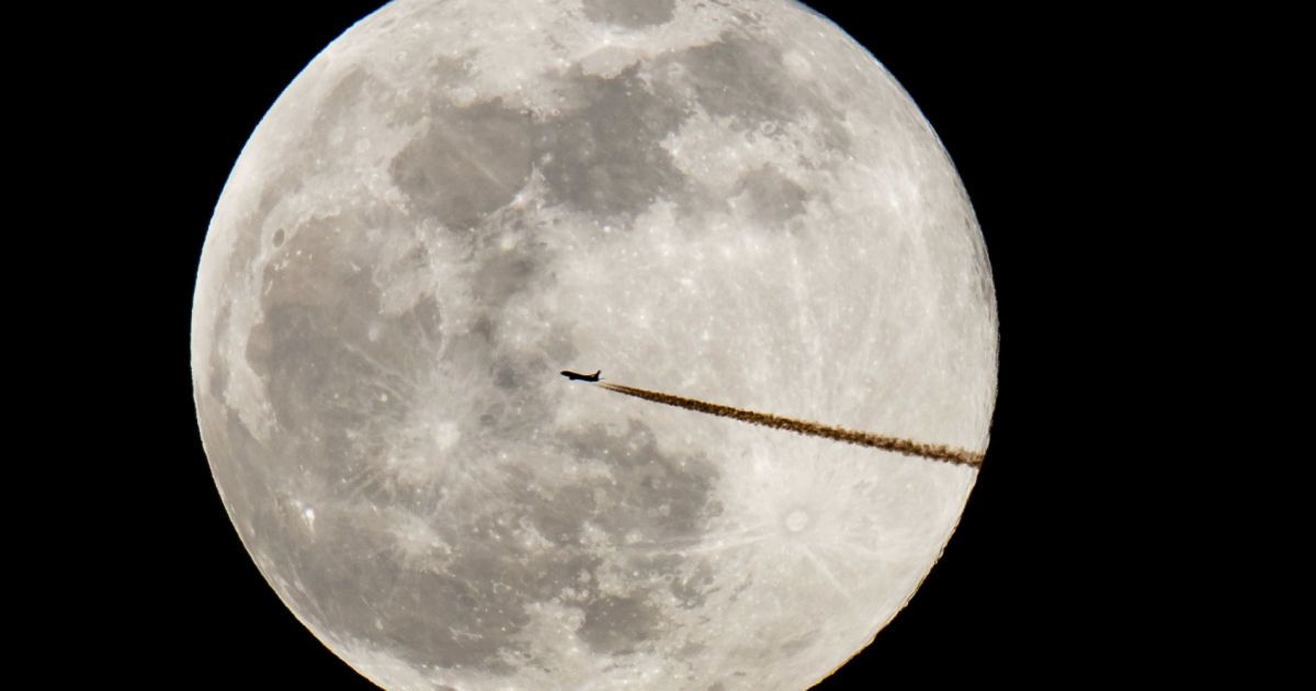 Вчені пропонують створити на Місяці банк сперми на випадок загибелі Землі