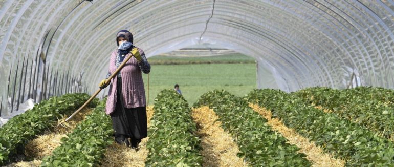 На заробітки до Європи: які країни відчинені для українців в умовах нової хвилі коронавірусу