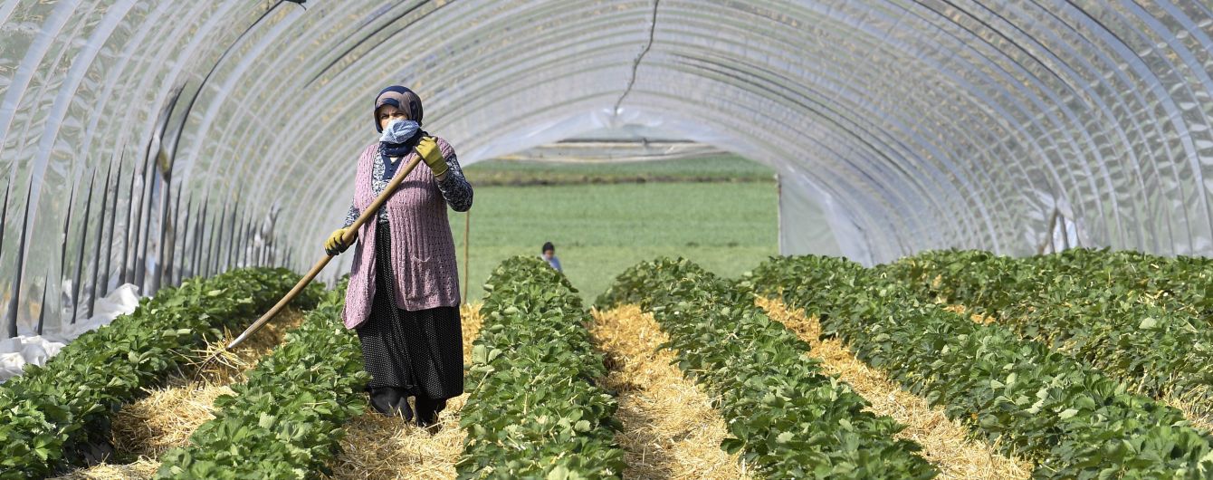 На заробітки до Європи: які країни відчинені для українців в умовах нової хвилі коронавірусу