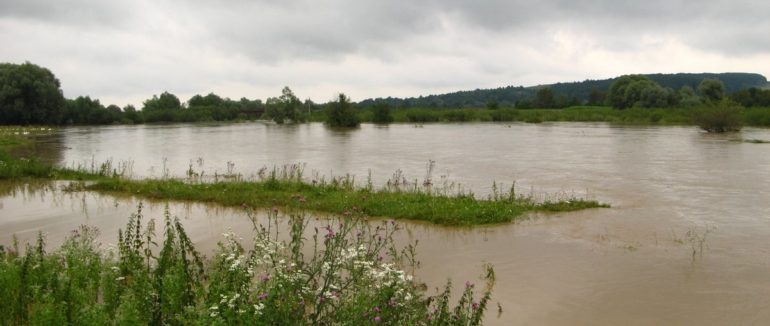 “Річки обов’язково вийдуть з берегів”: весною від паводків постраждає Закарпаття