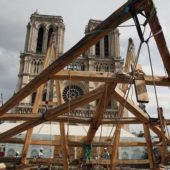 Зрубають тисячу 100-річних дубів для шпилю: як реконструюватимуть Нотр-Дам