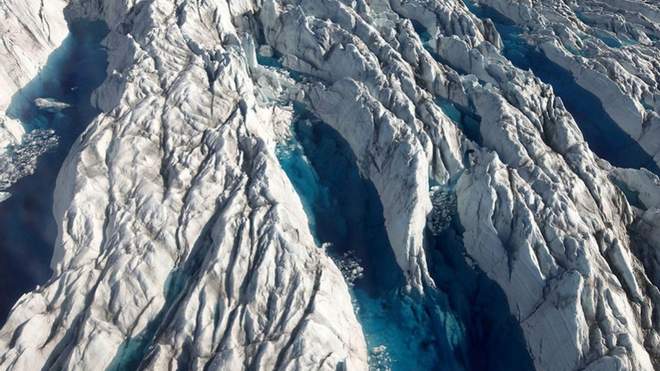 У Гренландії під кілометровим шаром льоду знайшли рослини: що це значить для людства?