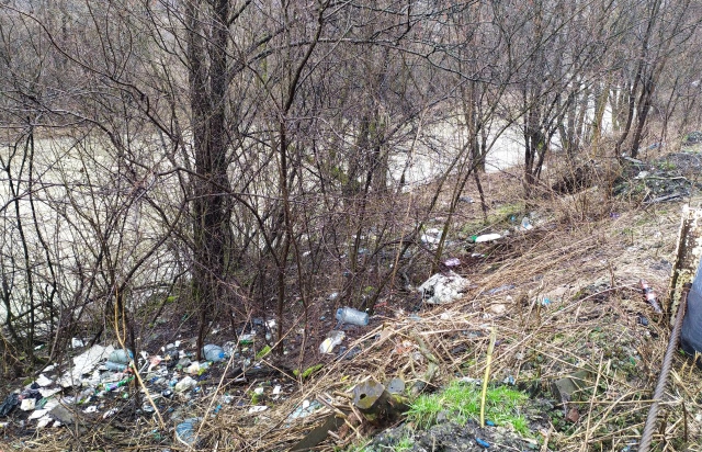 Сміттєзвалище поблизу джерела: реалії екосвідомості на Закарпатті