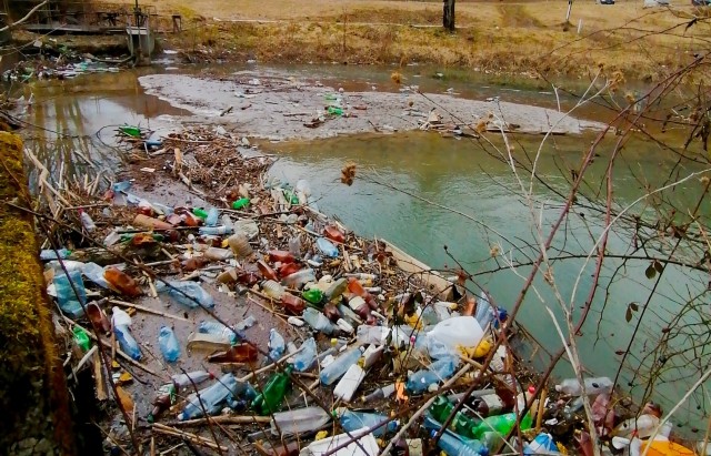 Лише за місяць із Закарпаття до Угорщини припливло 42 тонни сміття