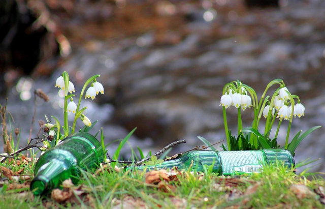 На Закарпатті разом з першоцвітами з-під снігу з’явилось купа сміття