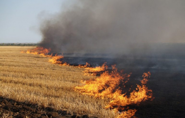 За два дні на Закарпатті відбулося 34 пожежі сухостою