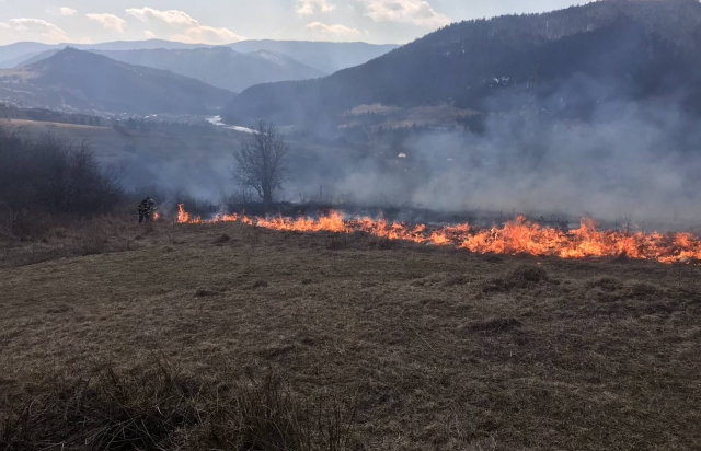 На Закарпатті оштрафували двох жителів за спалення трави