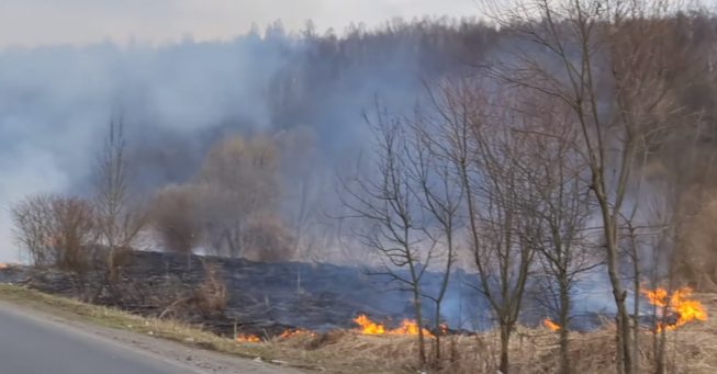 На Ужгородщині палали поля