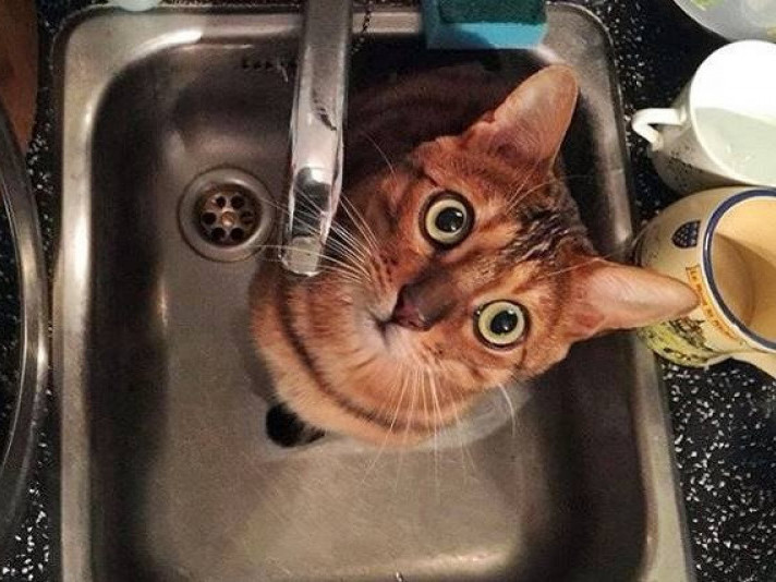 Сьогодні в Ужгороді на декількох вулицях буде відсутнє водопостачання