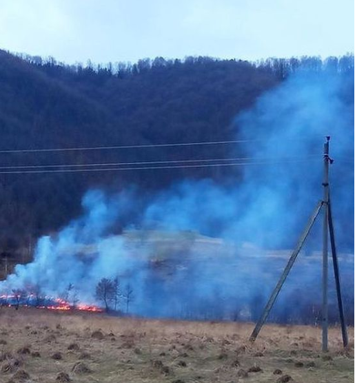 Торік постраждало понад 500 га землі на Закарпатті постраждало через підпал сухостою