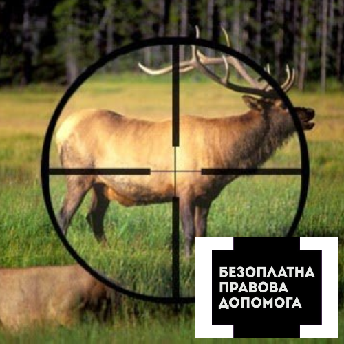 Вполював вагітну оленицю: погоджено підозру закарпатському браконьєру