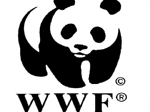 Чим важливі ведмеді для довкілля