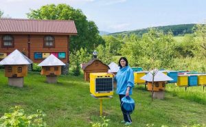 Закарпатські пасічники випробують смарт-вулик