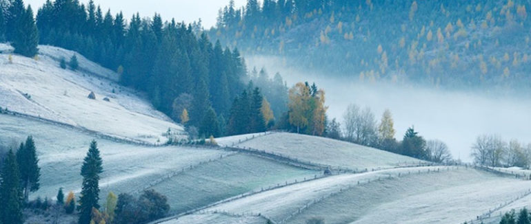 Як на гірськолижному курорті Закарпаття змагалися рятувальники