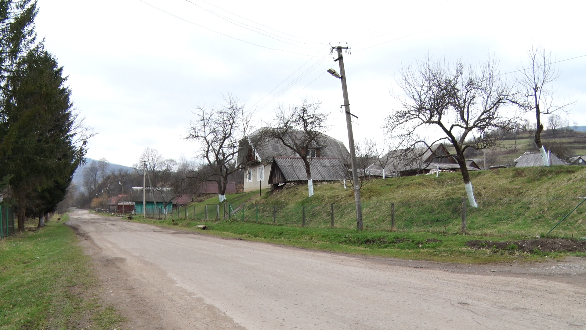 Без дороги, аптеки і газу: як живуть мешканці села Люта на Ужгородщині