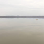 Рай для птахів: дивовижна штучна водойма неподалік Мукачева