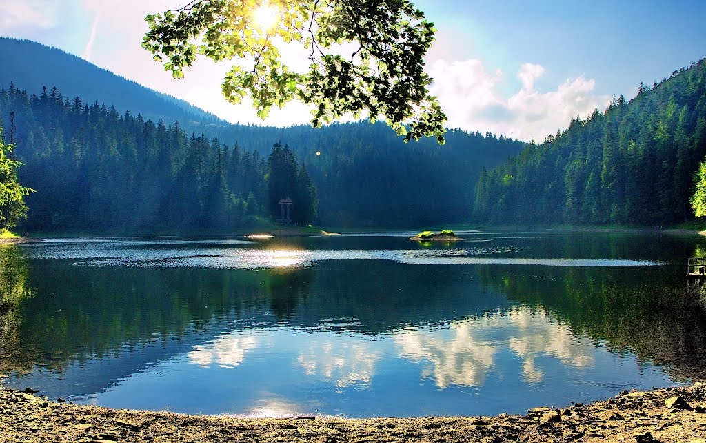 Туристичний занепад: як коронавірусна пандемія вплинула на потік туристів