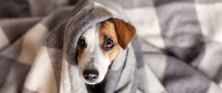 До кінця місяця в Ужгороді продовжили опалювальний період для закладів медицини