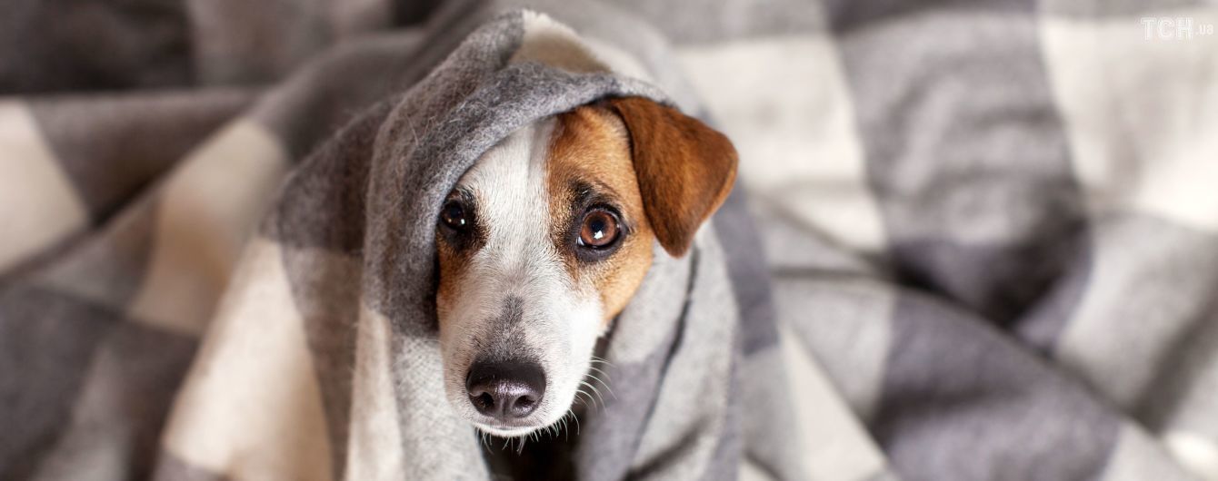 До кінця місяця в Ужгороді продовжили опалювальний період для закладів медицини