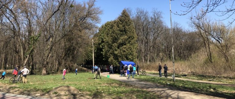 Майже 58 тисяч саджанців висадили за день на Закарпатті