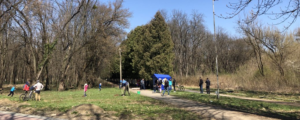 Майже 58 тисяч саджанців висадили за день на Закарпатті
