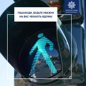 За тиждень патрульні Закарпатської області притягнули до відповідальності 133 пішоходів