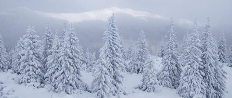 На Закарпатті оголошено сніголавинну небезпеку