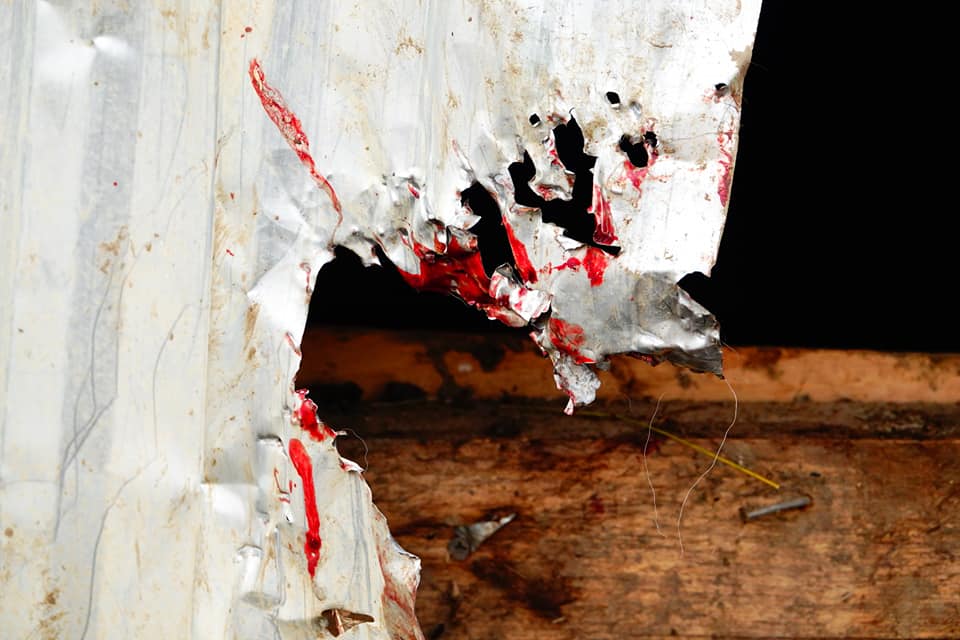 Випита кров та загризена худоба: на Закарпатті вчергове напали на свійських тварин