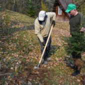 В Закарпатській області проводять акції з озеленення