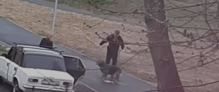 У Мукачеві чоловік безжалісно знущався над собакою