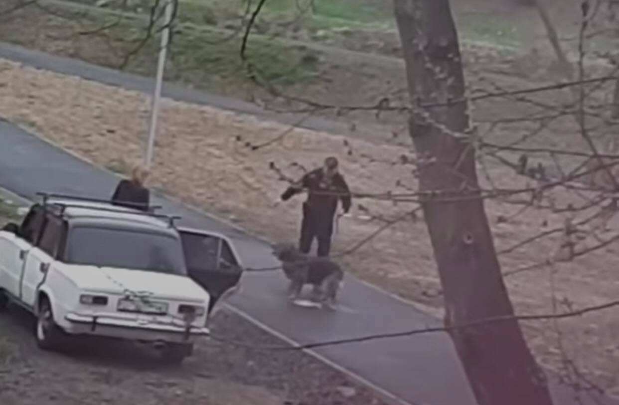 У Мукачеві чоловік безжалісно знущався над собакою