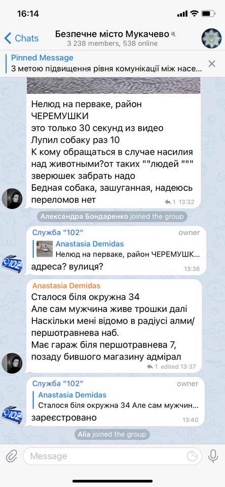 У Мукачеві чоловік безжалісно знущався над собакою