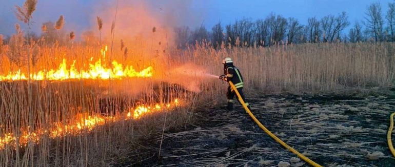 Попри заборону палити сухостій, Україна просто палає